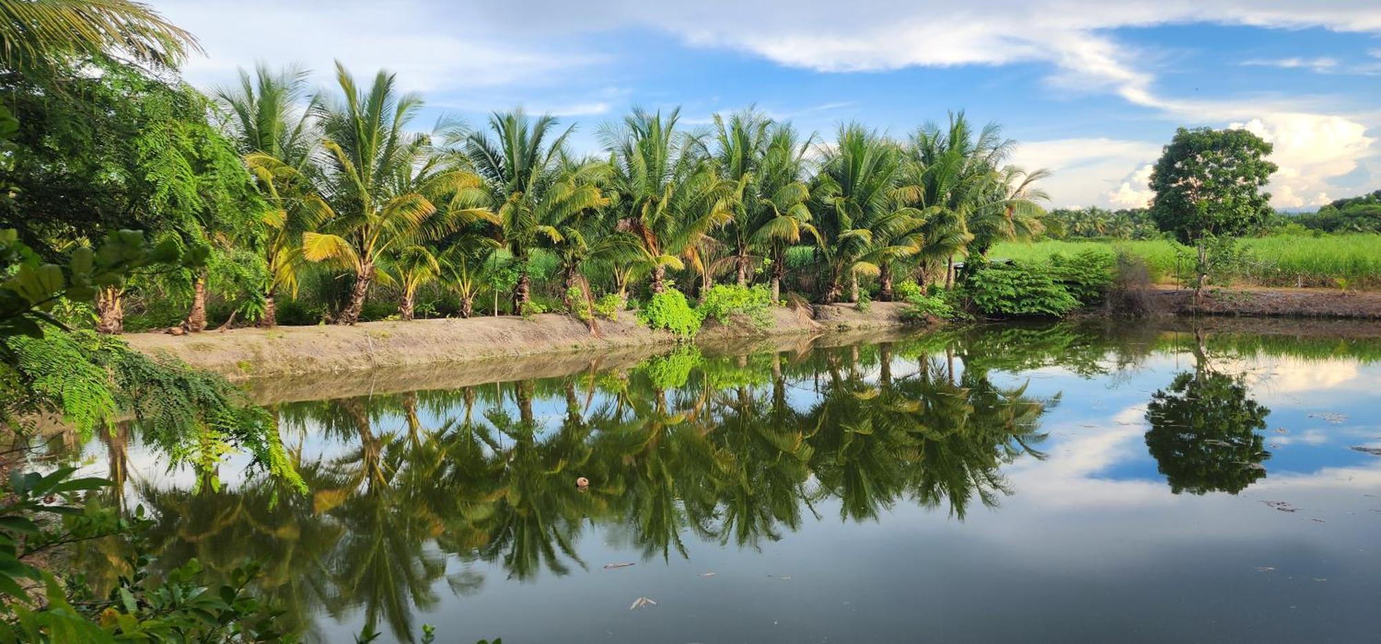 ตะวันวิลเลจ Hotel Ban Khlong Yang Kültér fotó